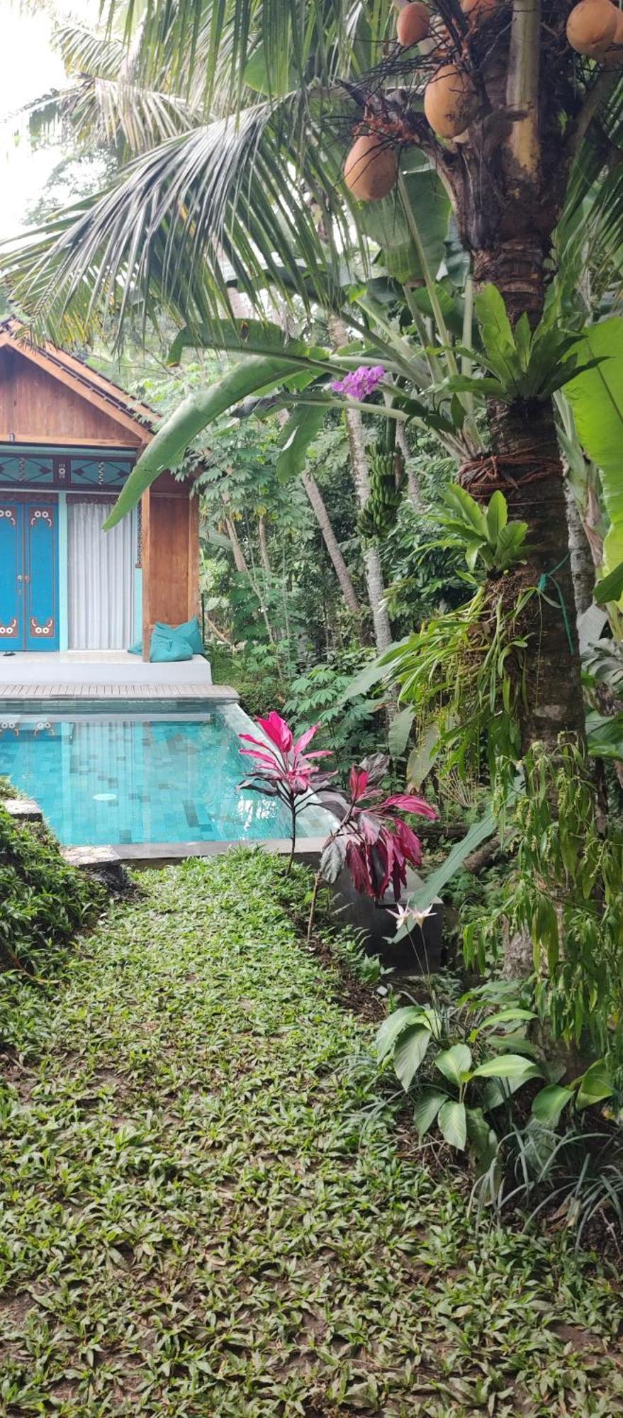 Rumah Guci أوبود المظهر الخارجي الصورة